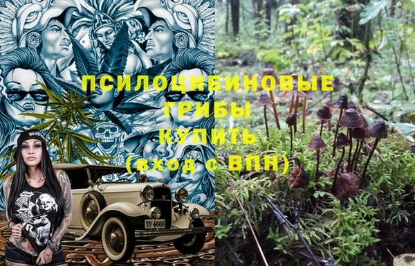 скорость Арсеньев